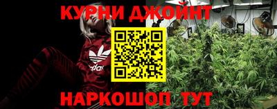 марихуана Гатчина