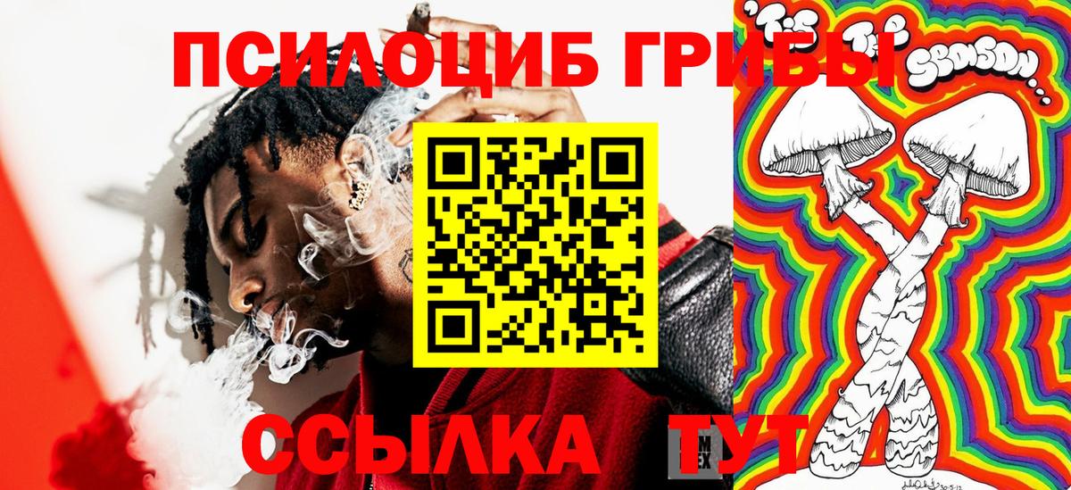 Кызыл  Псилоцибиновые грибы Psilocybe  Вход с VPN 