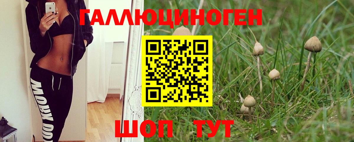Псилоцибиновые грибы GOLDEN TEACHER Кызыл