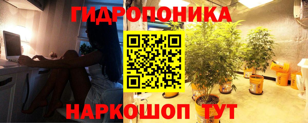 Кызыл  Бошки марихуана марихуана  Вход с VPN  Канабис семена  Бошки марихуана план 